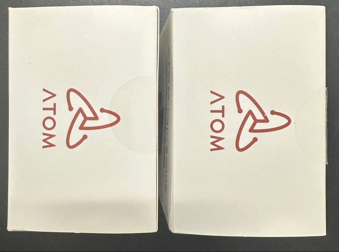 atom cam swing 2台セット