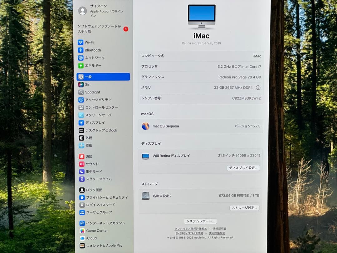 Macデスクトップ iMac 4K 21.5 2019 i7 3.2/32GB/ SSD 1TB
