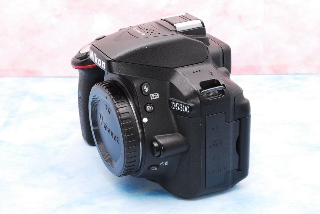Nikon D5300★Wi-Fi搭載★一眼レフカメラ★手ぶれ補正Wレンズ