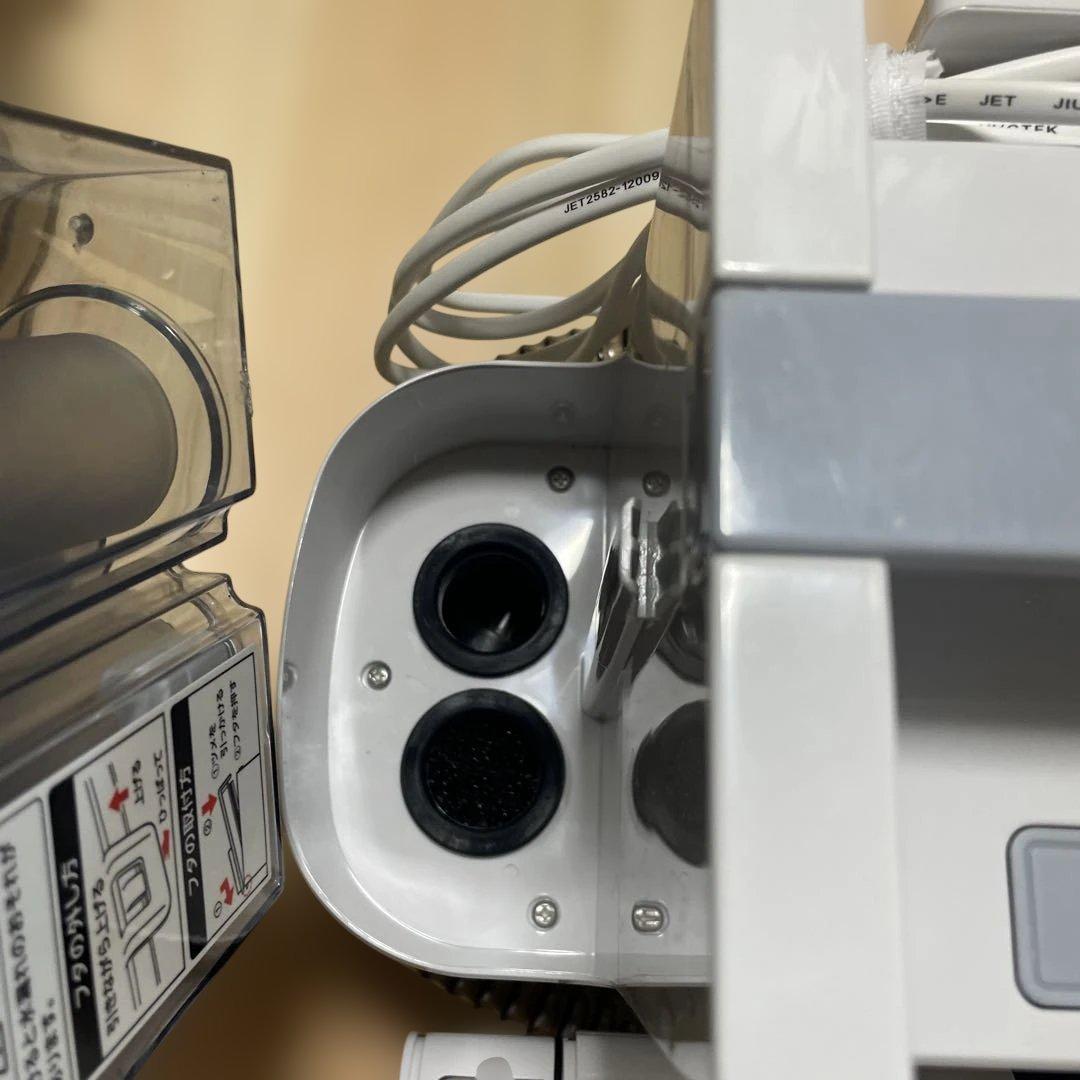 IRIS OHYAMA INS-P10 リンサークリーナー