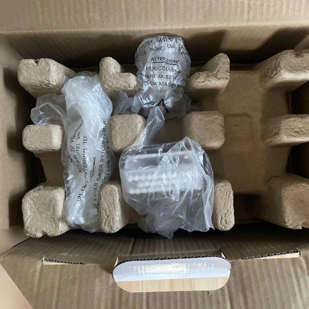 IRIS OHYAMA INS-P10 リンサークリーナー