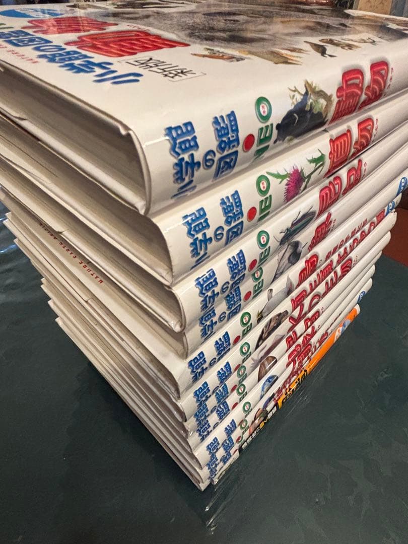 【小学館の図鑑　NEO　１２冊セット＋おまけ１冊】