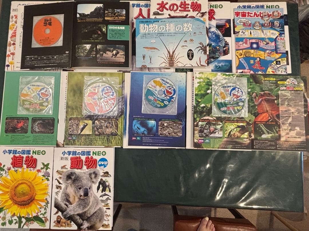 【小学館の図鑑　NEO　１２冊セット＋おまけ１冊】