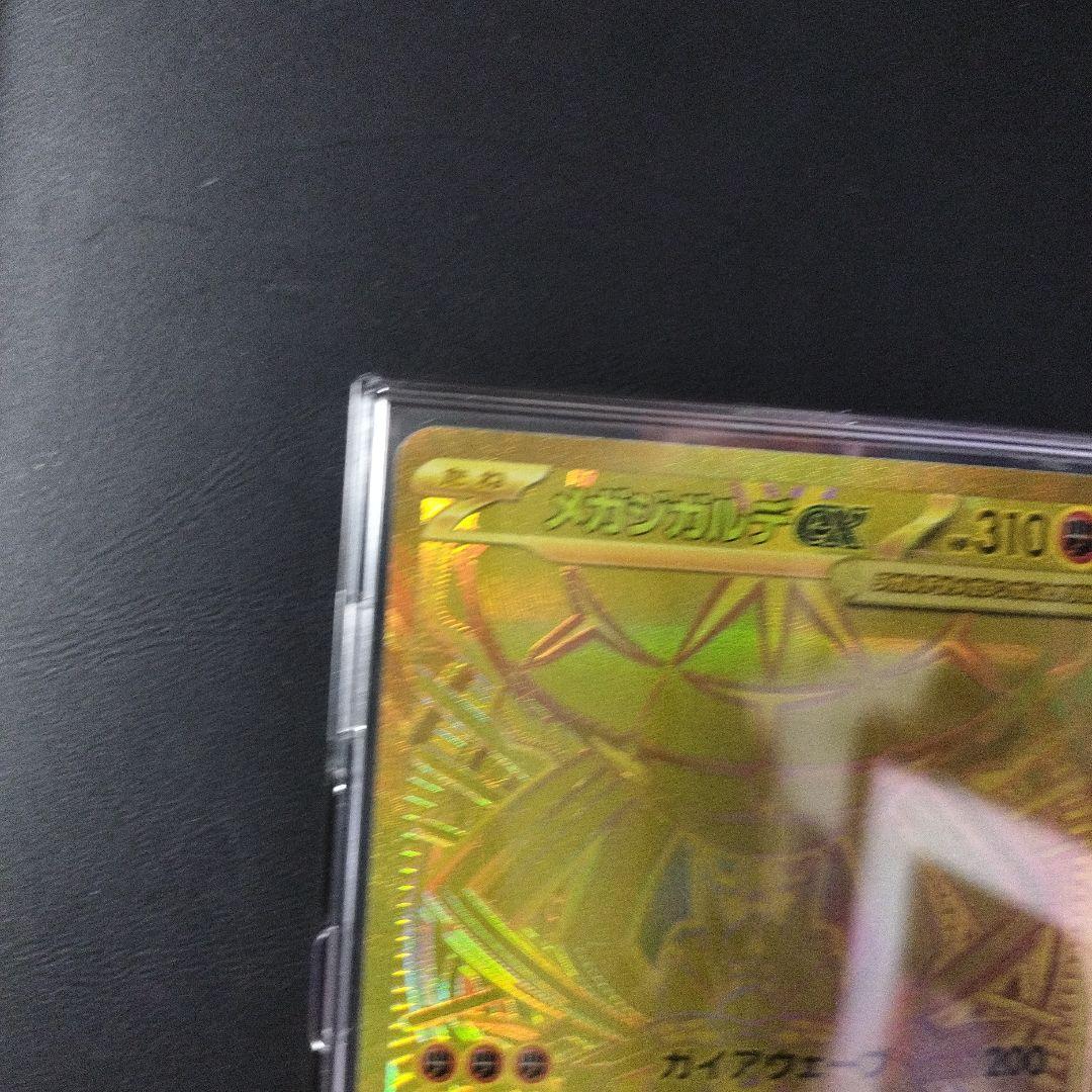 メガジガルデEX 310 HP トレーディングカード
