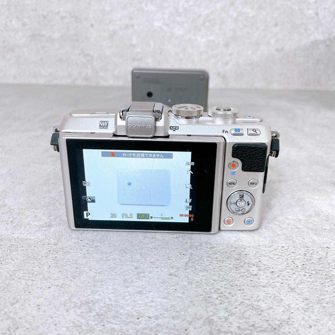 OLYMPUS ミラーレス一眼 E-PL7【ショット数1859】