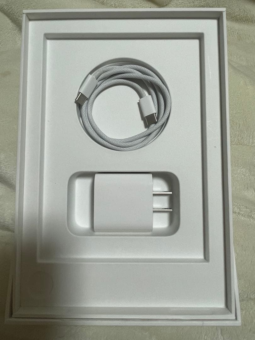 iPad mini (A17 Pro) 256GB Wi-Fi 本体