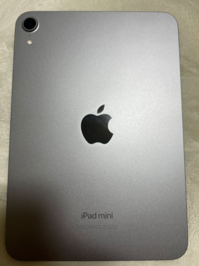 iPad mini (A17 Pro) 256GB Wi-Fi 本体