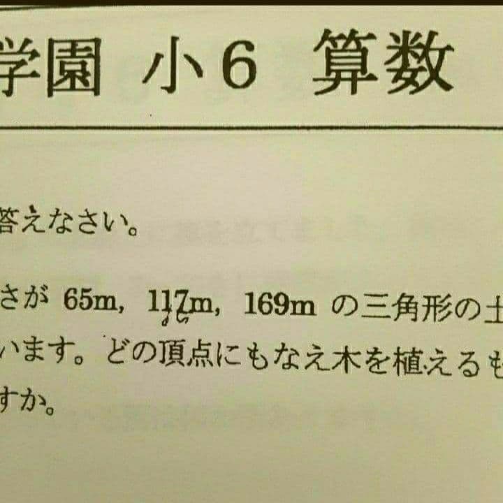 浜学園　解答用紙付　小６ 2024年度　Vクラス　復習テスト　３科　国語算数理科