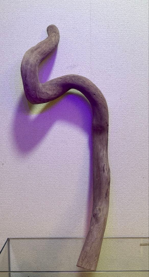 Ｇ79 灰汁抜き処理済　流木　爬虫類　両生類シェルター　観葉植物　インテリア