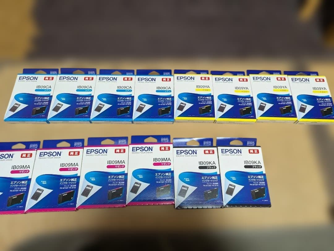 EPSON インクカートリッジ IB09CA IB09MA セット