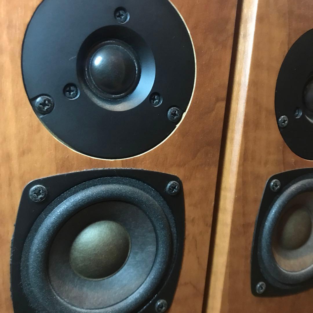 スピーカー FOSTEX P2080-E カンスピ