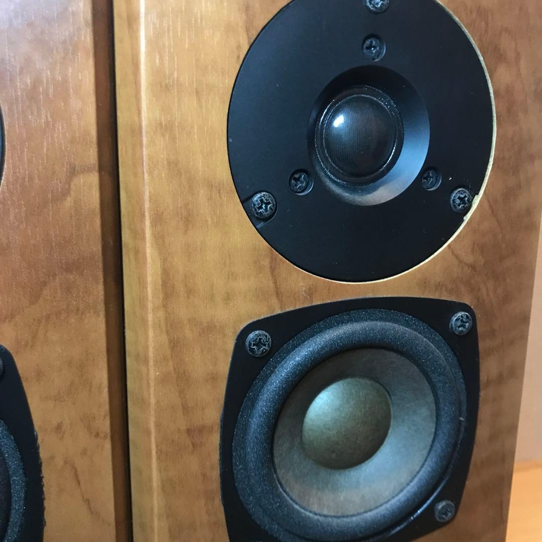 スピーカー FOSTEX P2080-E カンスピ