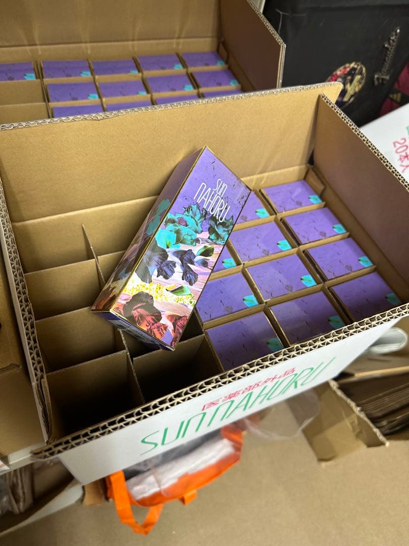 サンナホル　ナチュラルトリートメントシャンプー300ml 分包他商品説明書付き