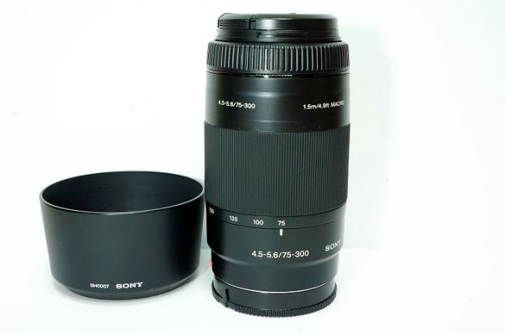 【大望遠レンズ】SONY 75-300mm F4.5-5.6
