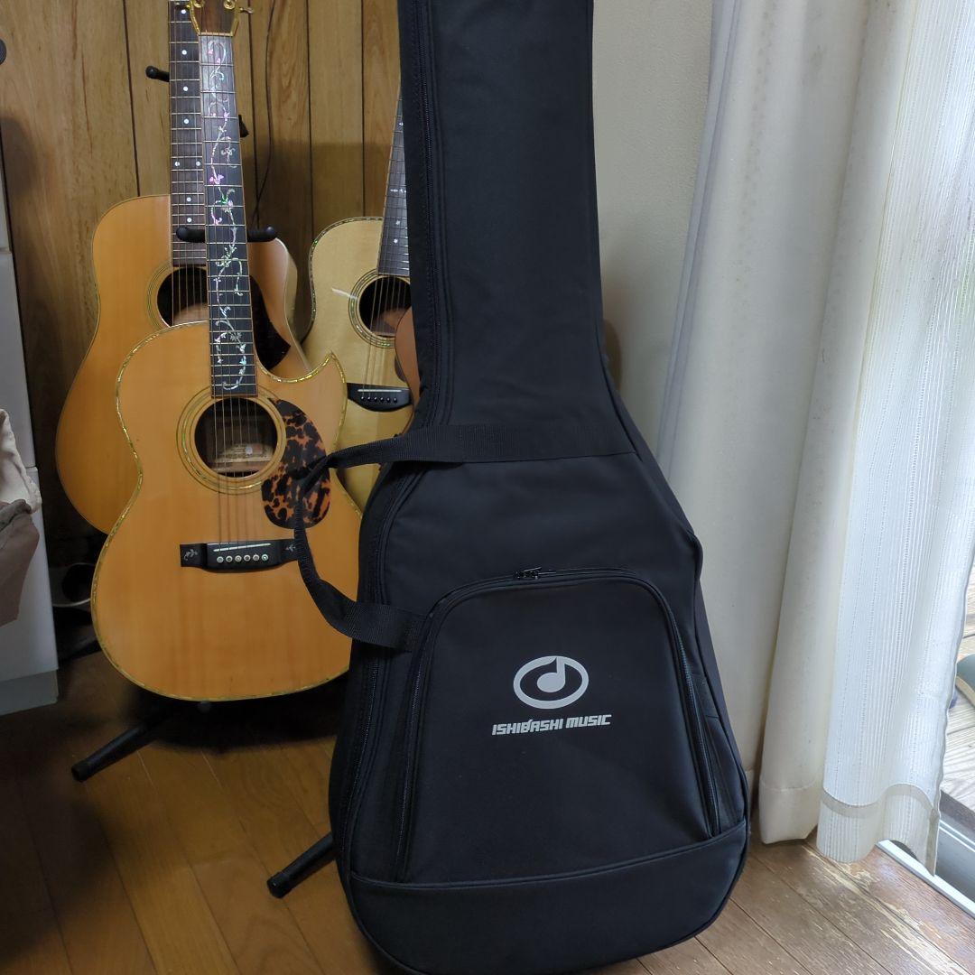 タカミネ海外輸出モデルGD-20CE-ns、