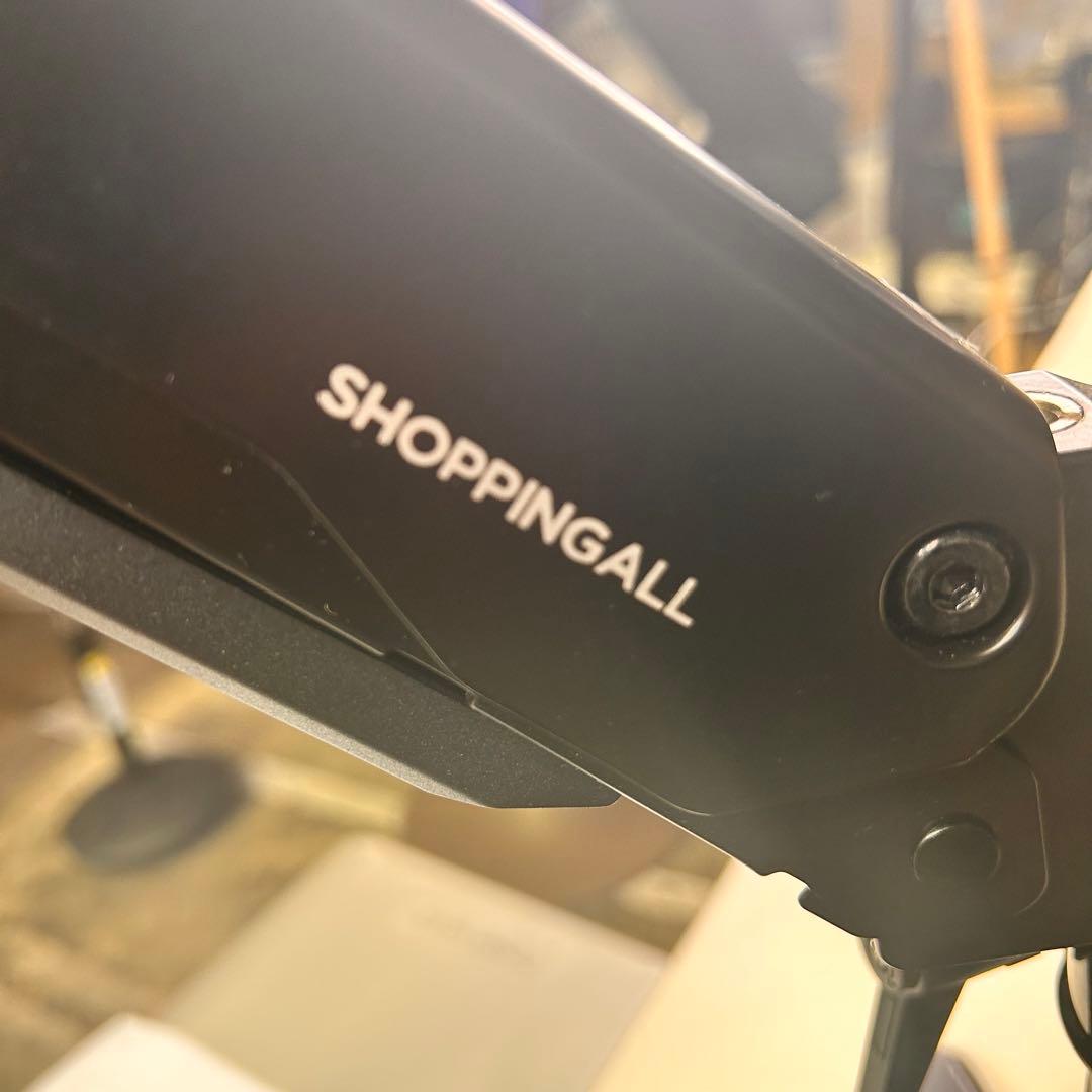 4839【デュアルモニターセット】DELL P2422H 2台 アームセット