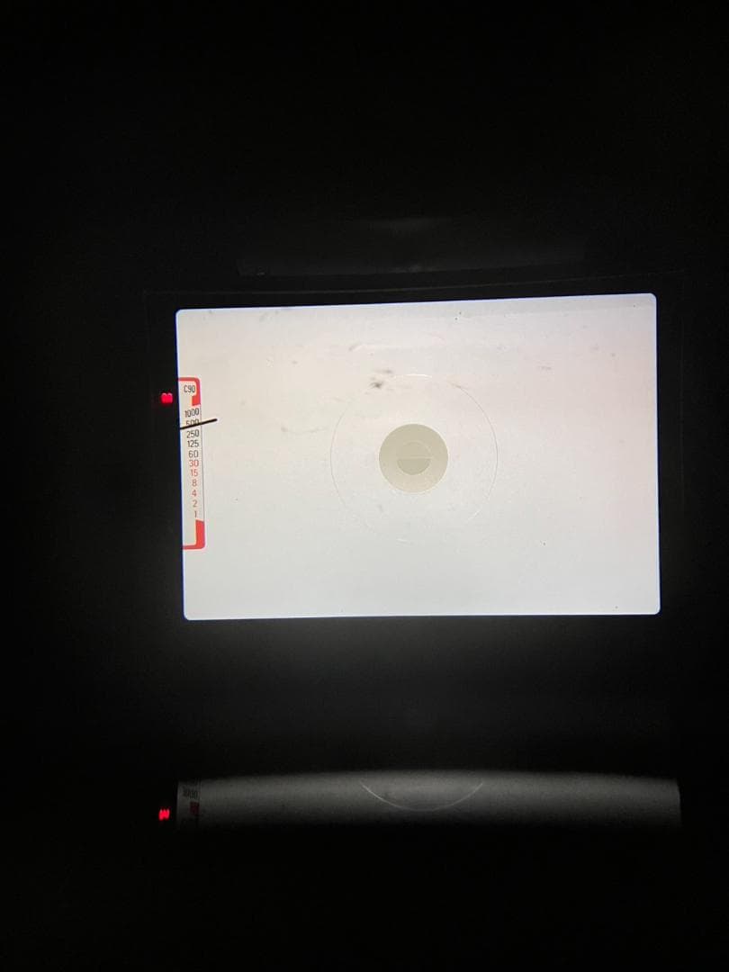 超美品 ニコン FG-20 シルバー フィルムカメラ　モルト新品交換済 M117