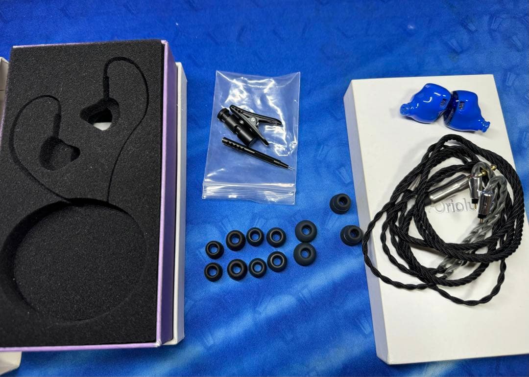 Oriolus Szalayi 美品