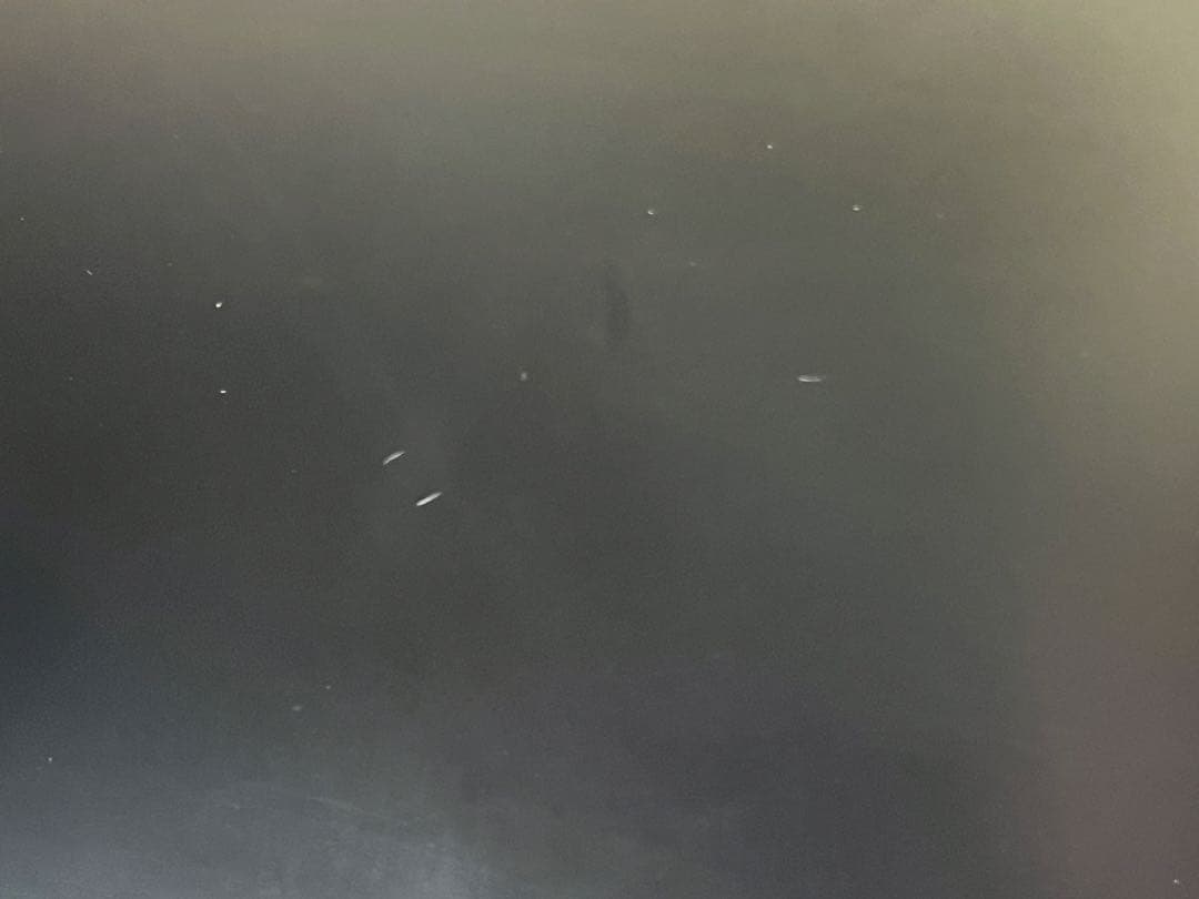 Dell P2422HE 24インチ USB Type-C 65W PD対応