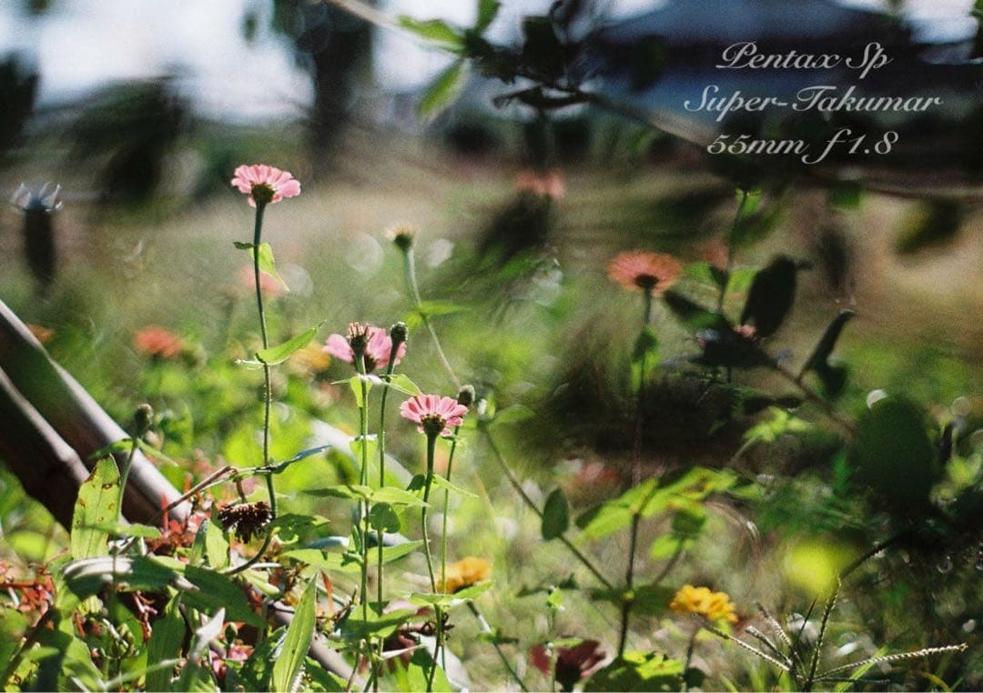 ★初期保証★pentax sp ／s-takumar f1.8★完動品＊美品