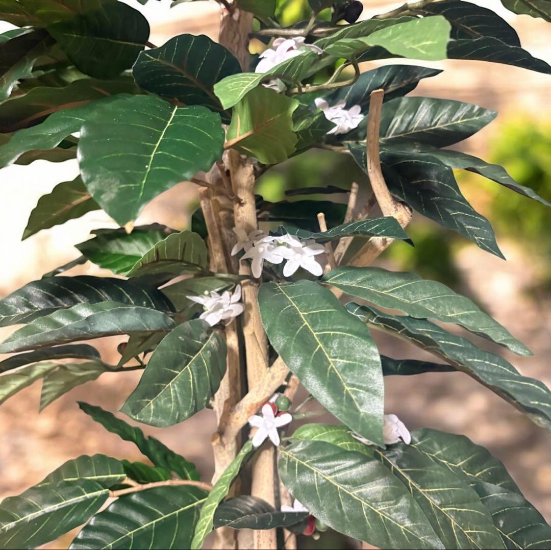 光触媒　人工観葉植物　ウォールグリーン　フェイクグリーン　コーヒーの木12162
