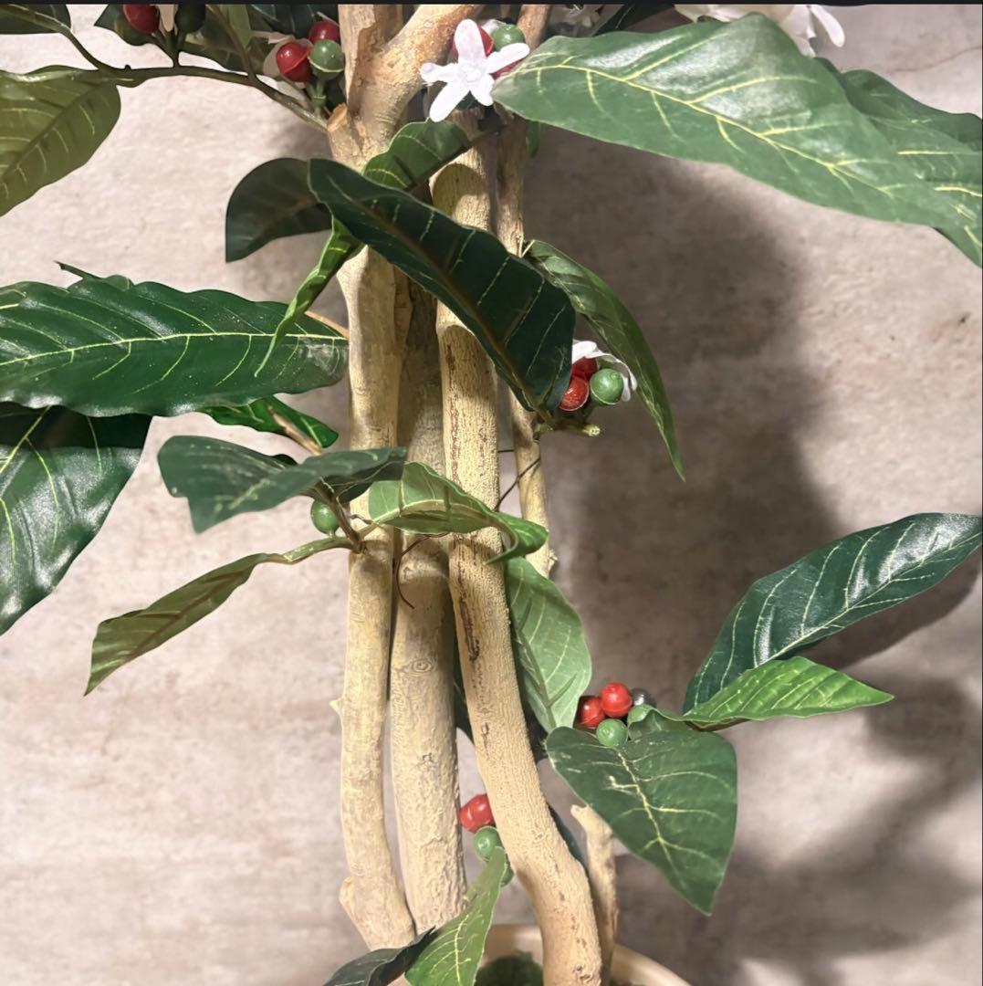 光触媒　人工観葉植物　ウォールグリーン　フェイクグリーン　コーヒーの木12162