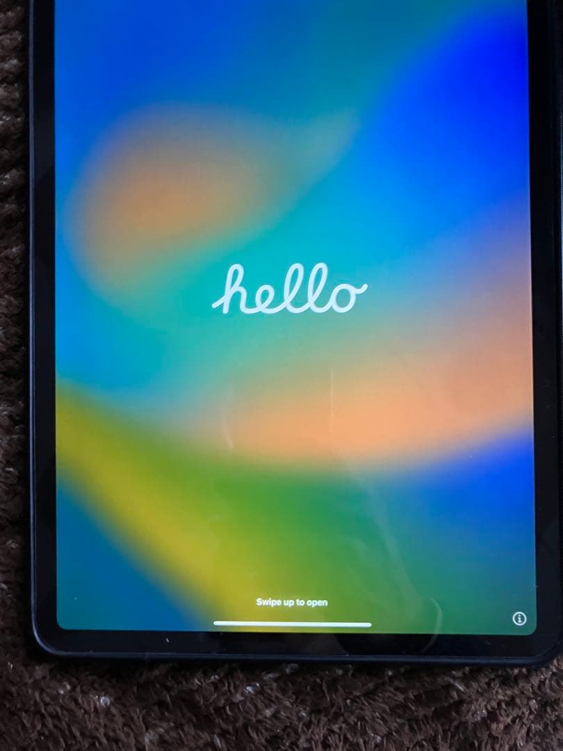 iPad Pro (11インチ) 第2世代 本体256GB Wi-Fi