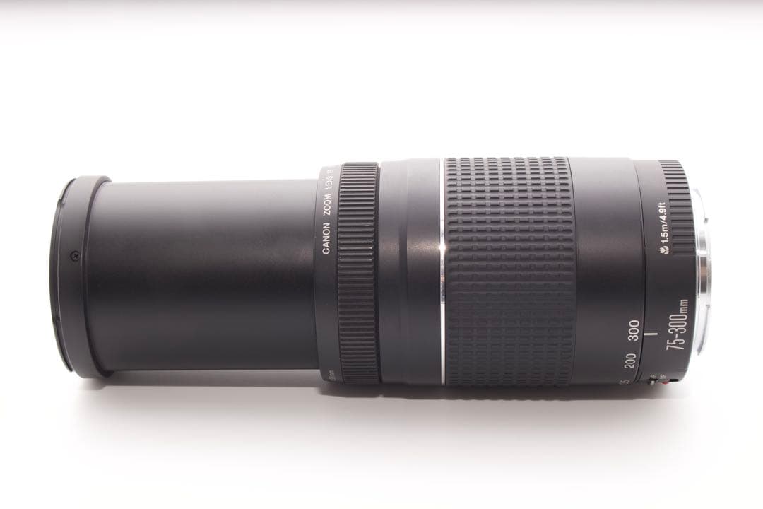 美品❣️Canon EF 75-300mm Ⅲ✨超望遠レンズ　運動会　風景