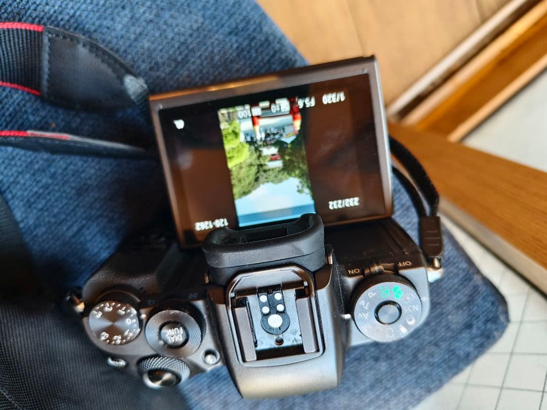 週末セール Canon EOS M5 ミラーレス一眼カメラ