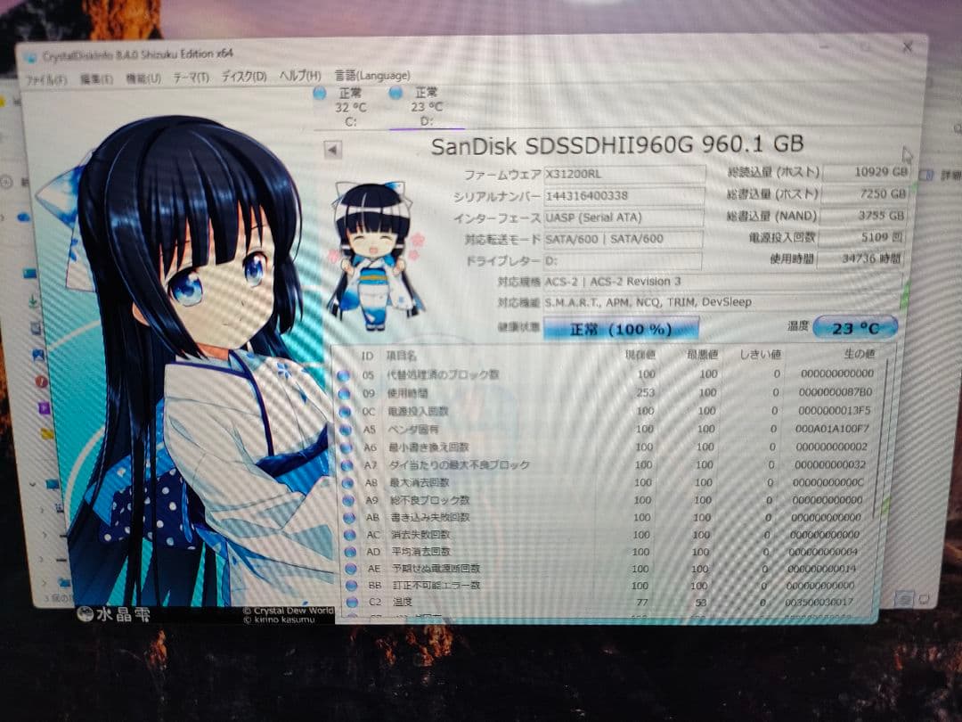 SanDisk 2.5インチ SATA規格 SSD960GB