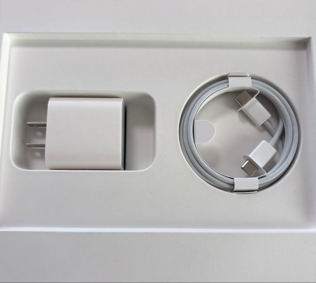 iPad Pro 11インチ（第１世代）　セルラーモデル