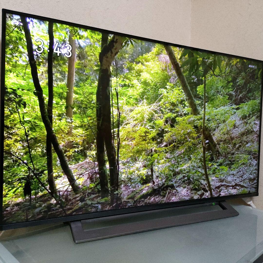 TOSHIBA[2019年製品]43M530X