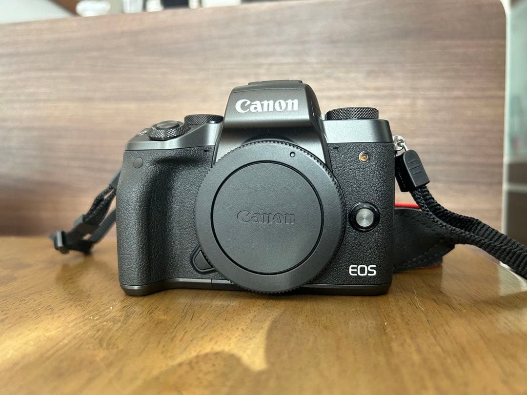 最終値引き【美品】Canon EOS M5 ミラーレスカメラ　レンズセット