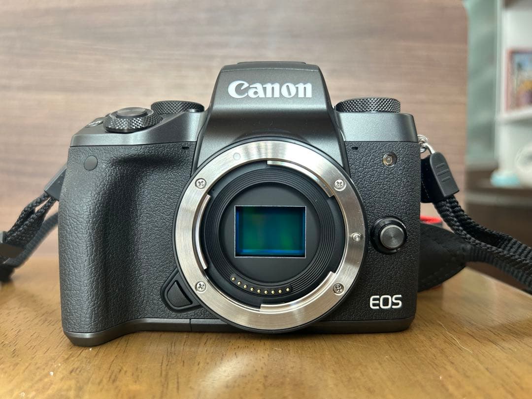 最終値引き【美品】Canon EOS M5 ミラーレスカメラ　レンズセット