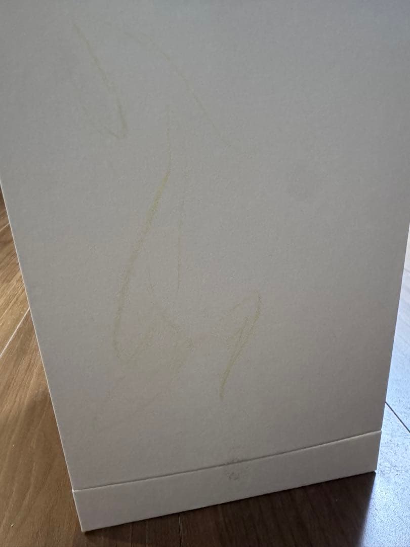 新品未使用 サロニア ピュアブライトスチーマー グレイ