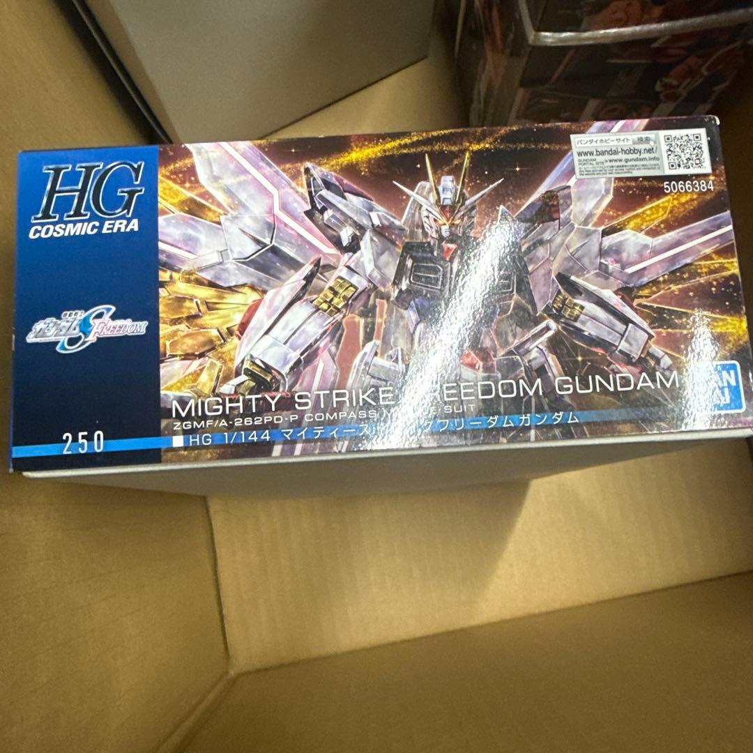 紅*月様 HG SEED 5点セット　ストライクフリーダム　ズゴック　ゲルググメ