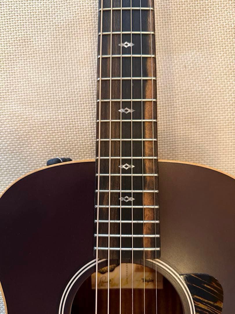 テイラー50周年GS Mini-e Rosewood SB LTD ES2搭載