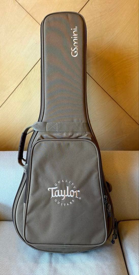 テイラー50周年GS Mini-e Rosewood SB LTD ES2搭載
