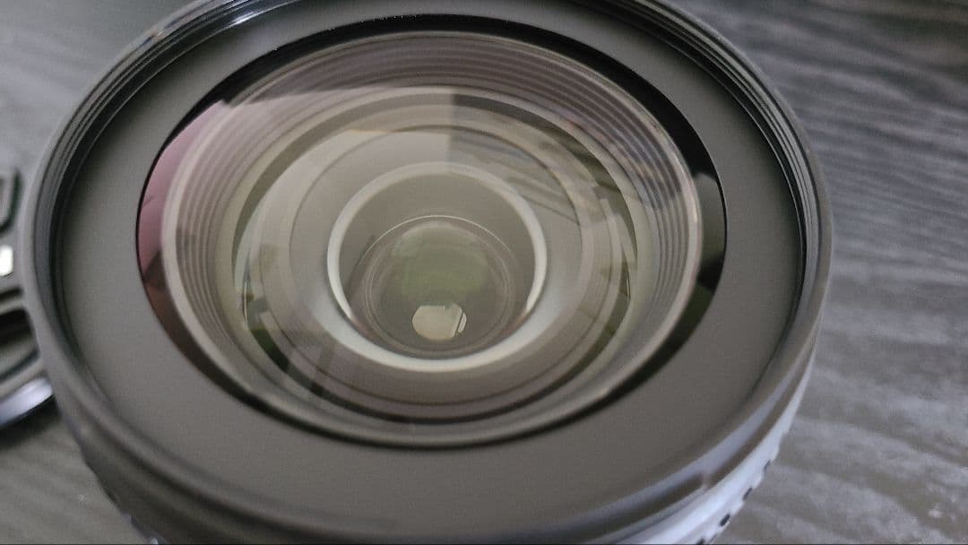 ニコンAF-S DX NIKKOR 16-80mm f/2.8-4E ED VR