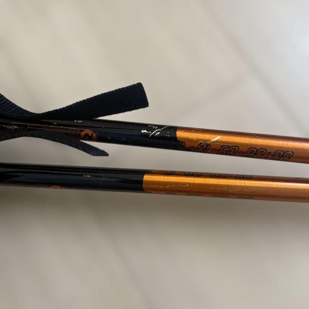 Sheeva スキー板 100cm 幅80mm LIZZARD 4.5