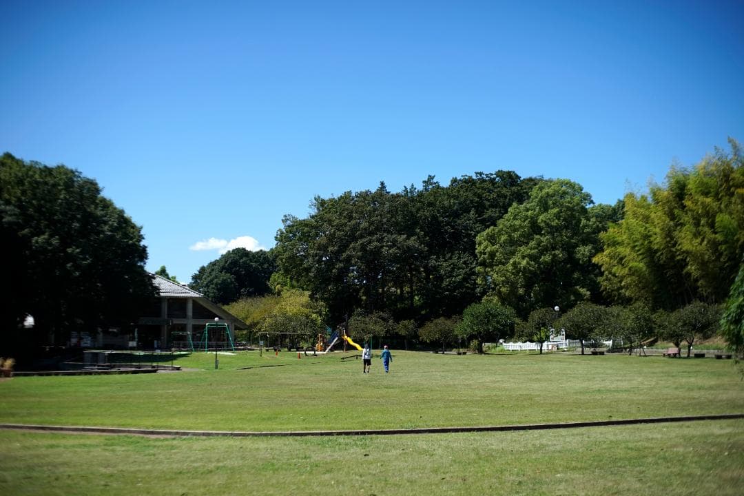 RICOH XR RIKENON 50mm f2 L 整備済 完動品 208