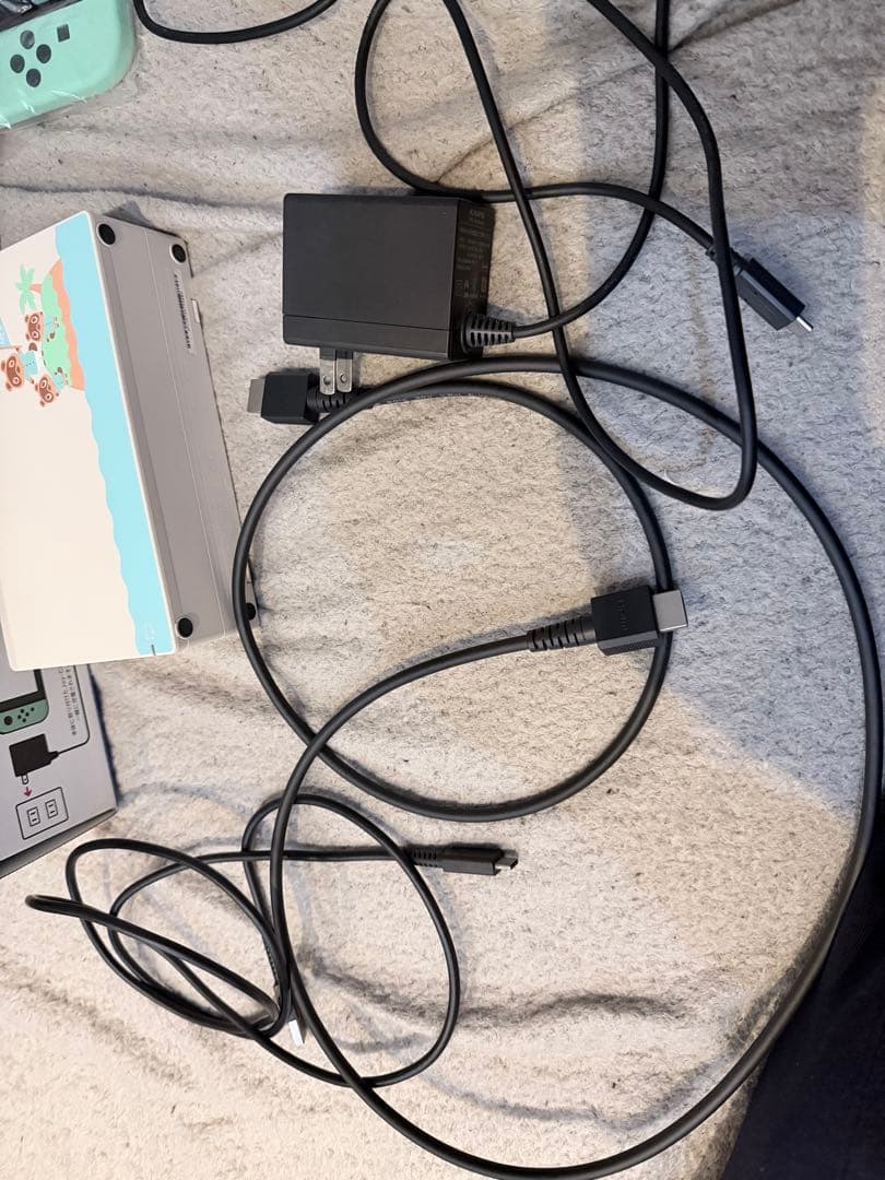 美品Nintendo Switch 本体 あつまれどうぶつの森セット版付属品完備
