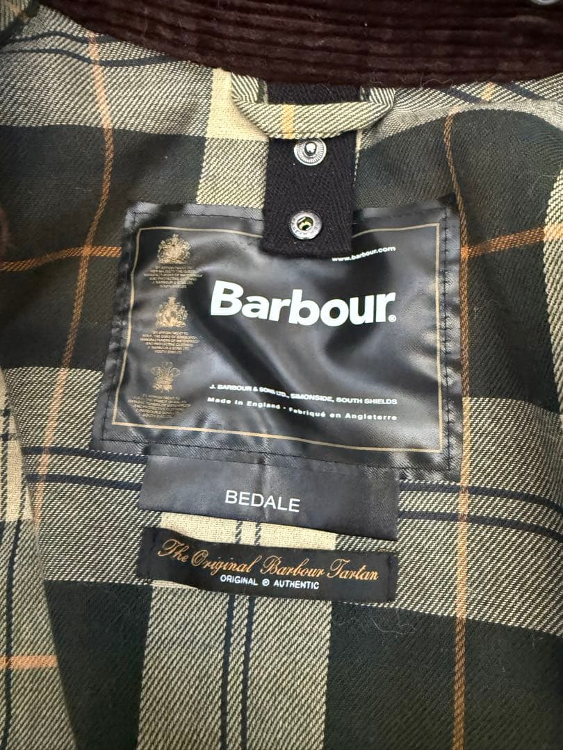 【カエル】バブアー　ビデイル