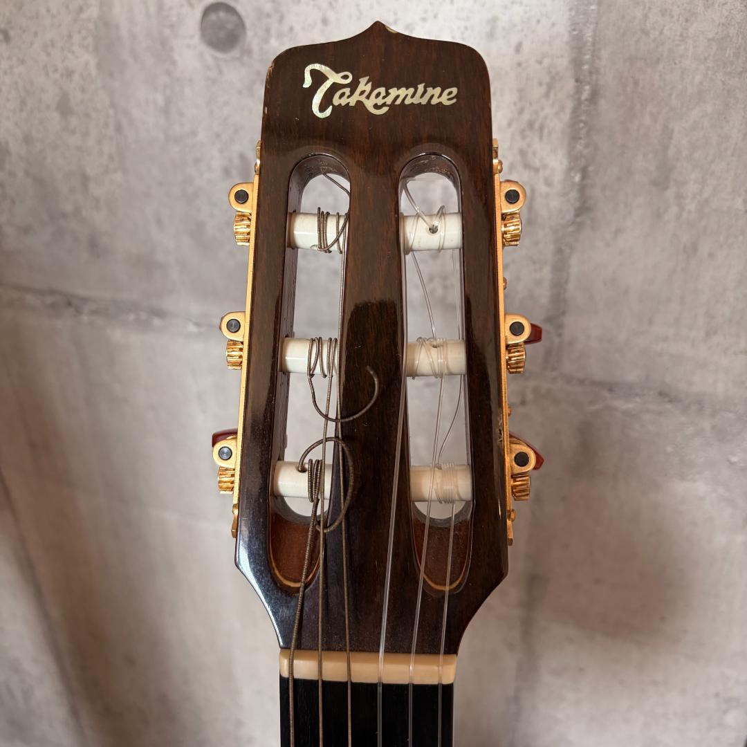 タカミネ　ガッドエレアコギター　PT-115N ST