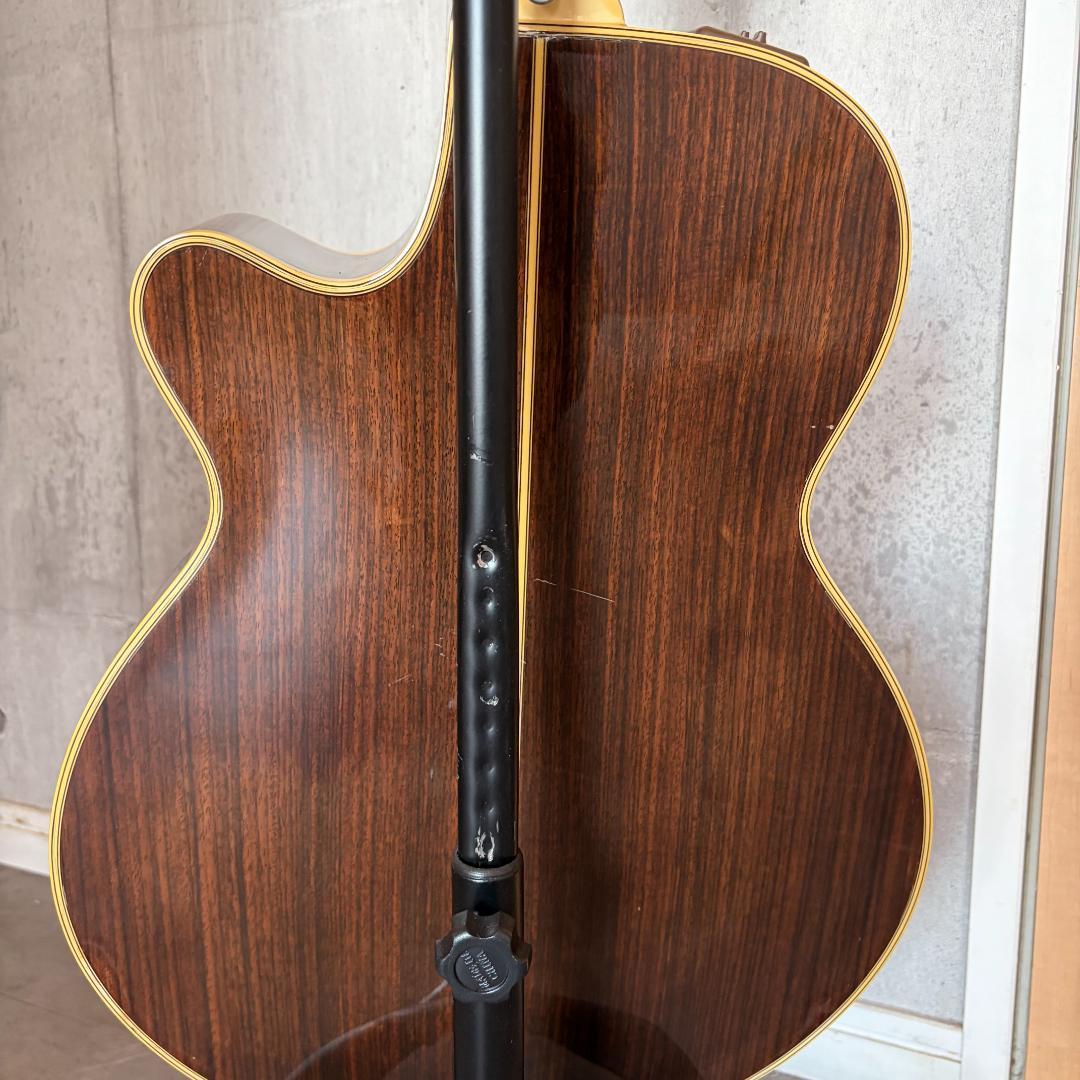 タカミネ　ガッドエレアコギター　PT-115N ST