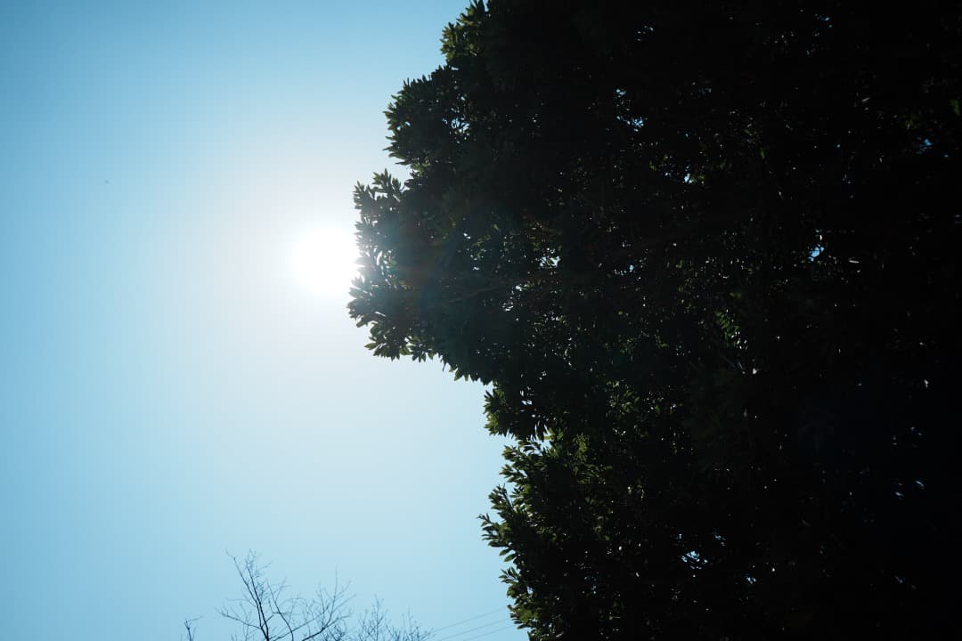 SEL16F28 + VCL-ECU1 超広角レンズセット α6000対応