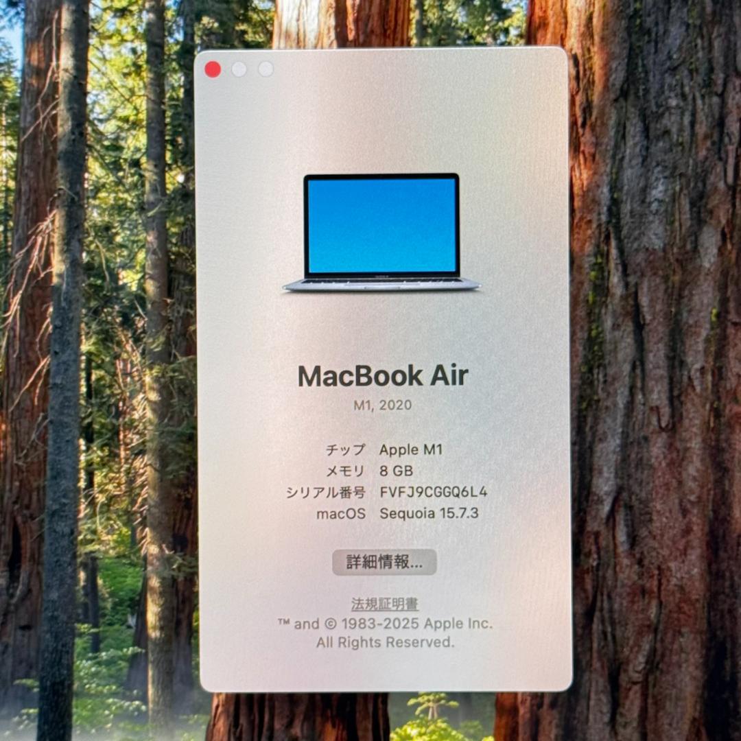 MacBook本体 P115 Apple MacBook Air M1 13inch