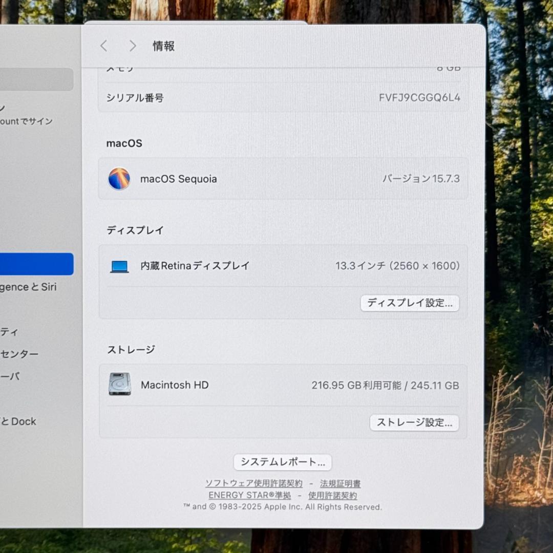 MacBook本体 P115 Apple MacBook Air M1 13inch