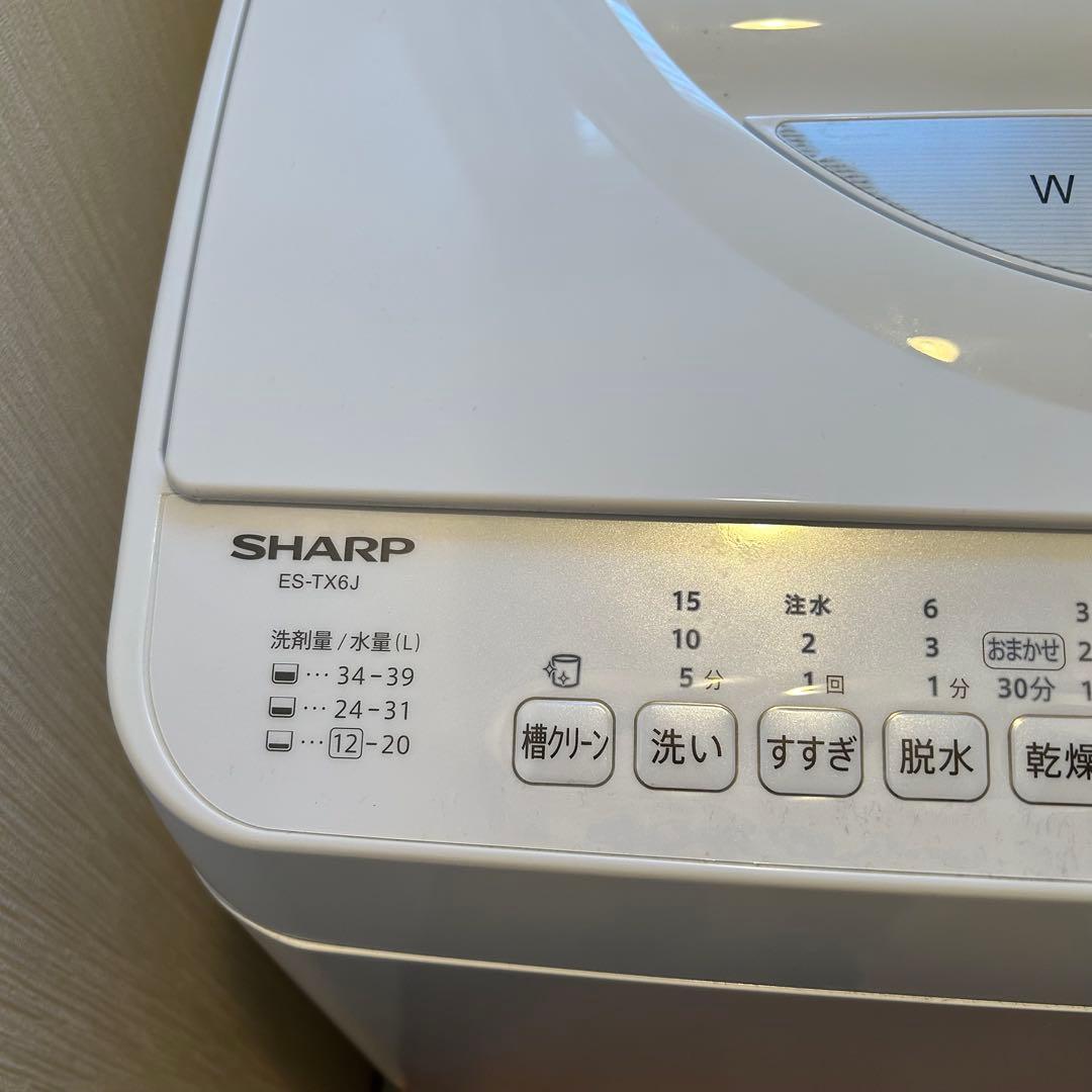 【高年式美品】2024年製SHARP乾燥機能付き洗濯機6.5kg ES-TX6J