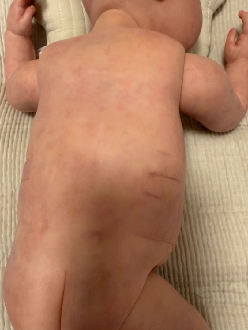 リボーンドール　おもちゃセット